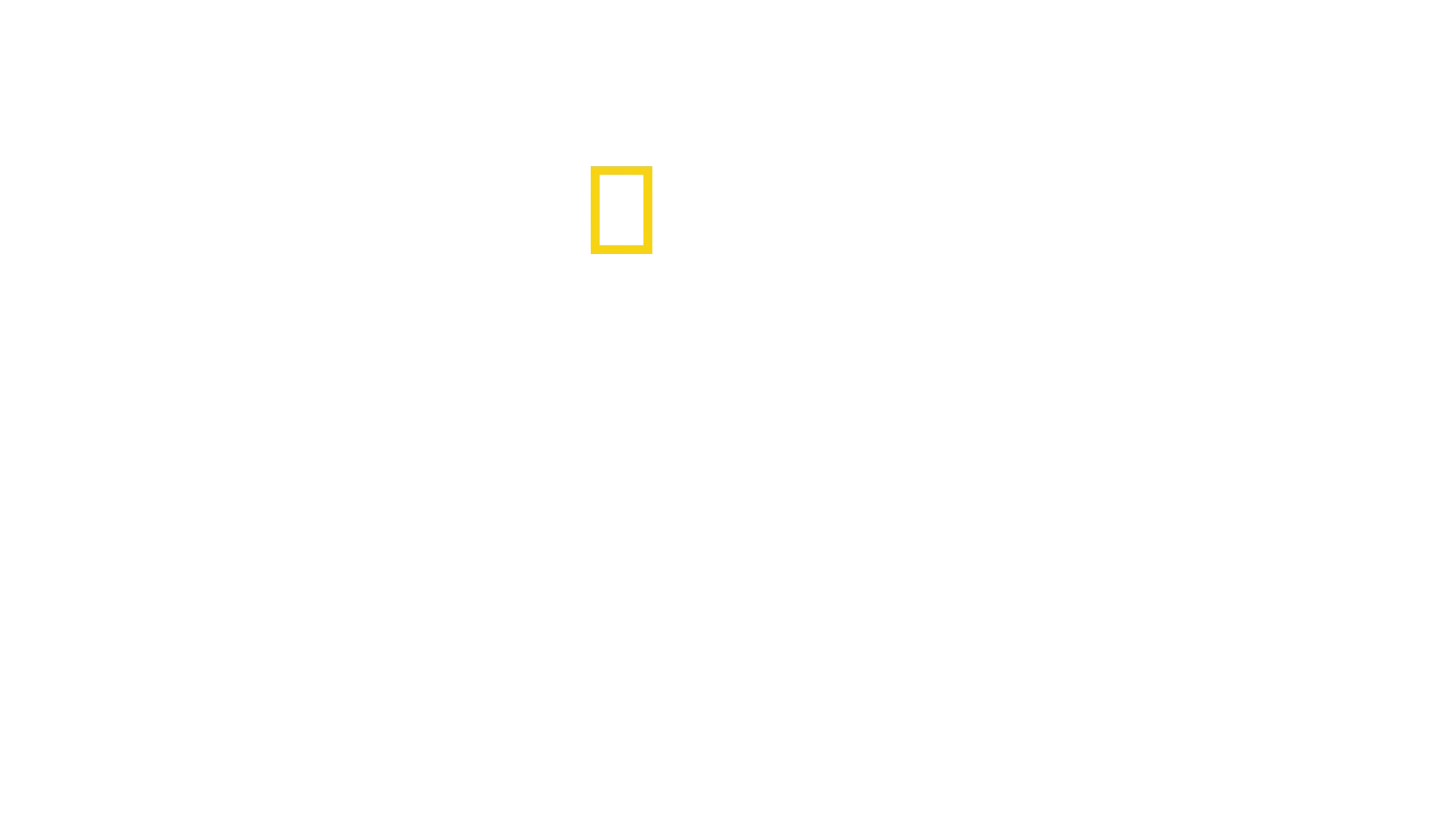 The Long Road Home