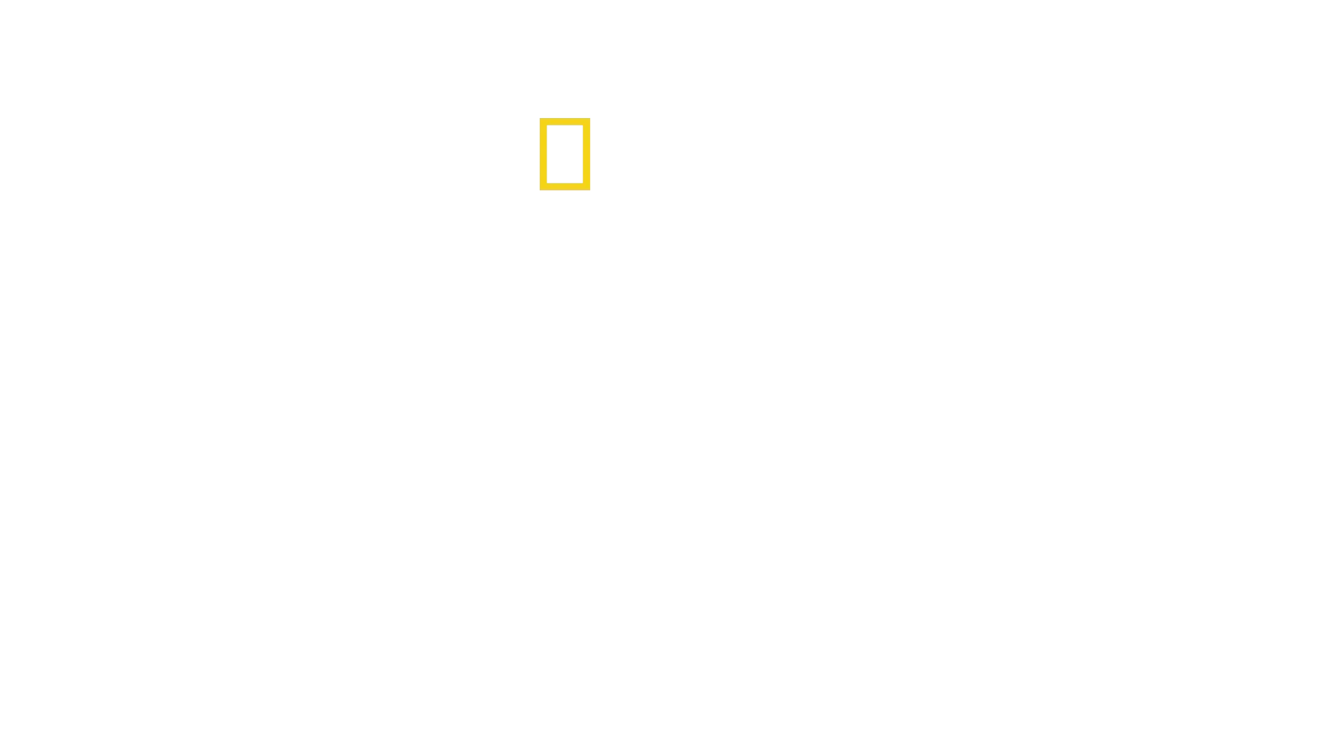 Witness To Disaster