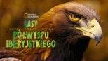 thumbnail - Lasy Półwyspu Iberyjskiego