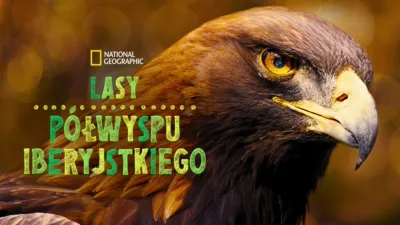 Lasy Półwyspu Iberyjskiego