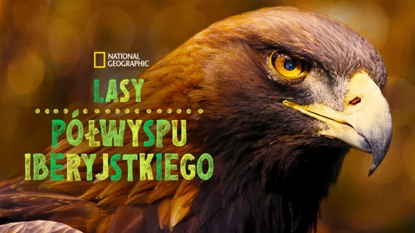 thumbnail - Lasy Półwyspu Iberyjskiego