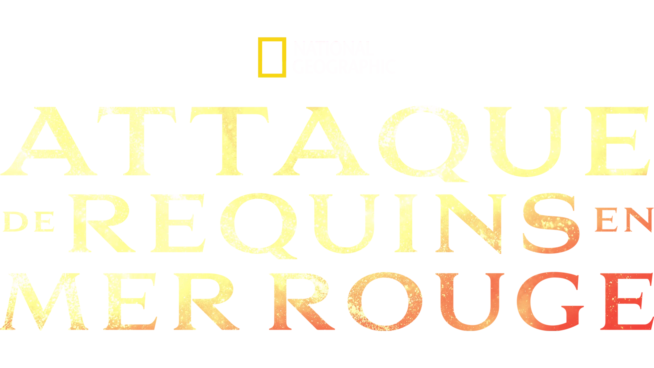 Attaque de requins en mer Rouge