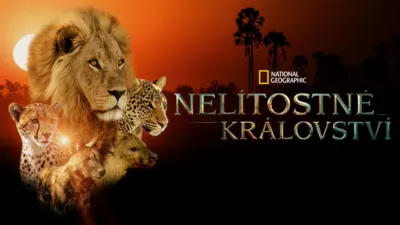 Nelítostné království