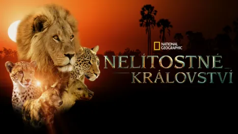 thumbnail - Nelítostné království