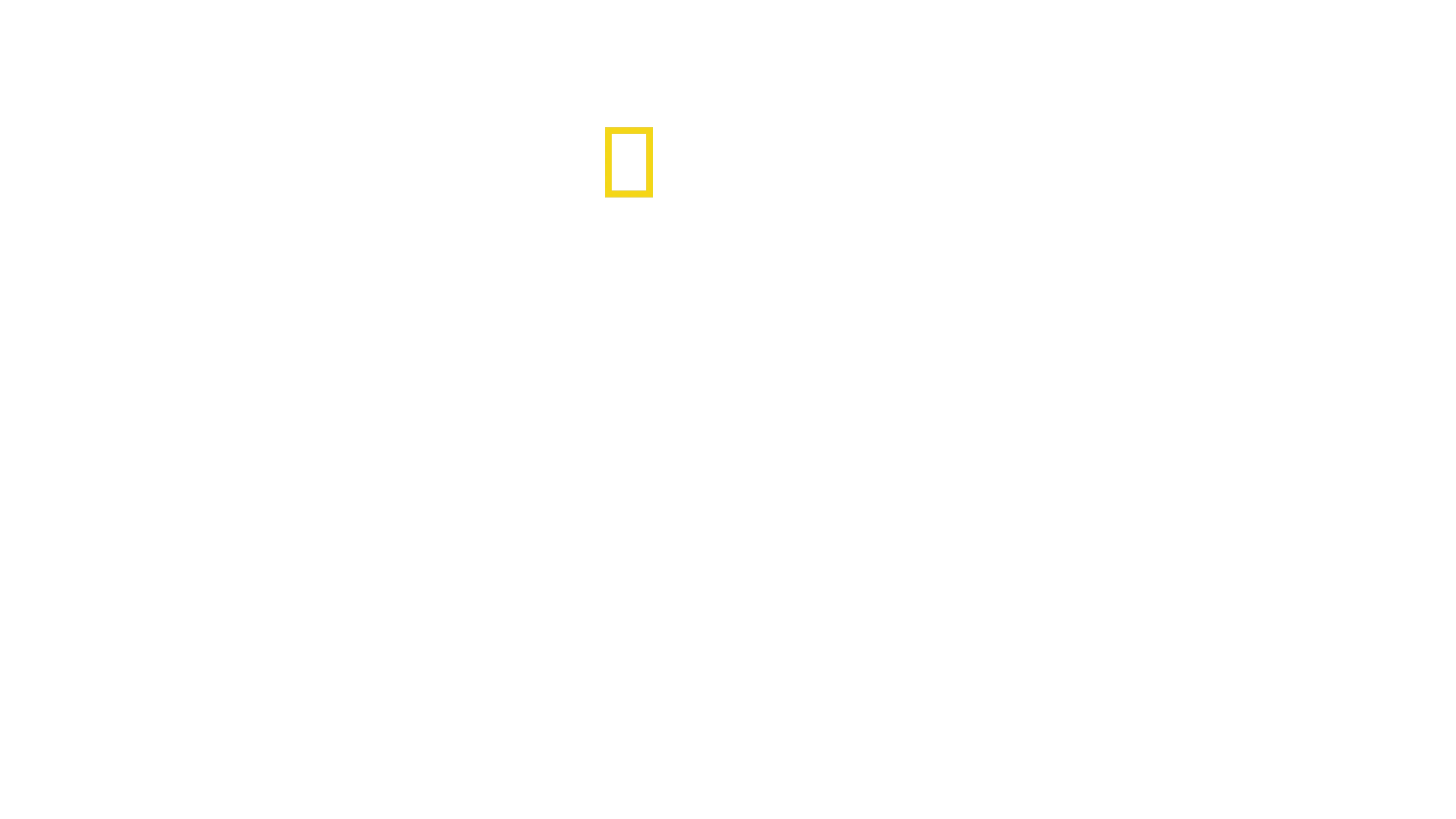 Planet der Vögel