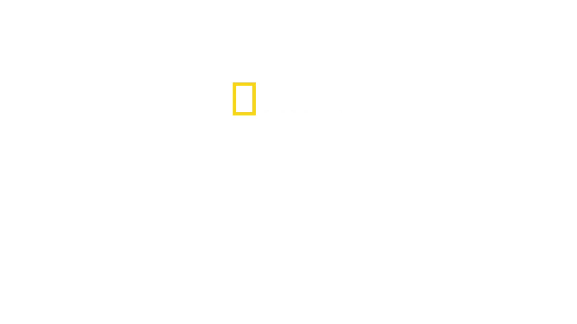 成長的軌跡