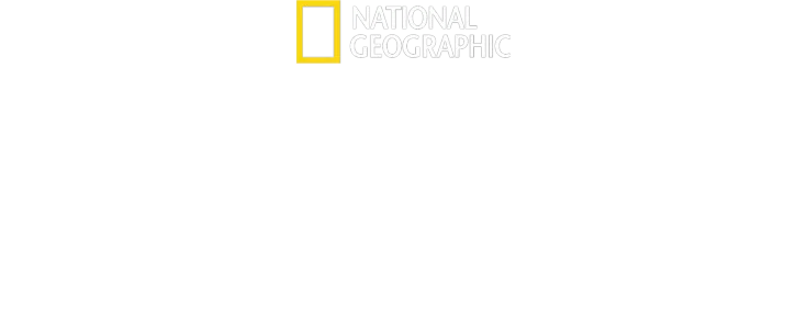 食尽其用乐行善