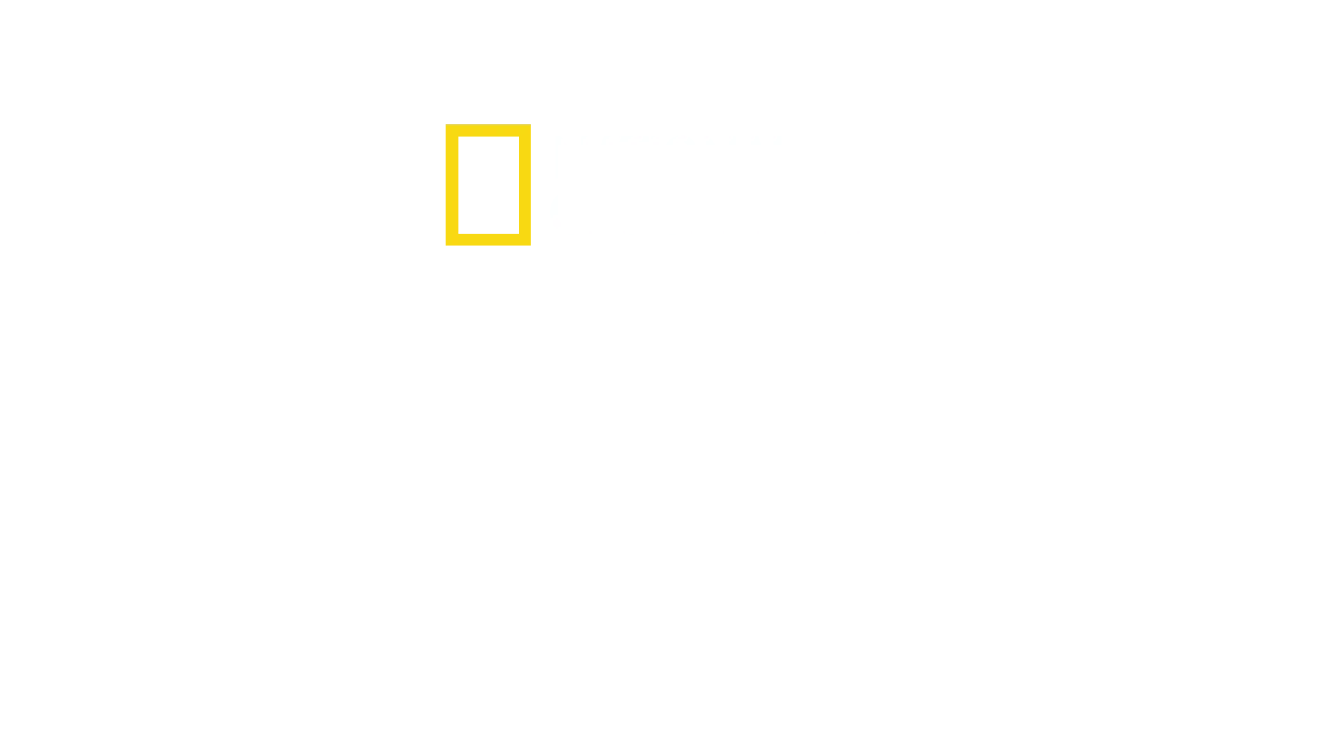 Amsterdam: Gara Centrală