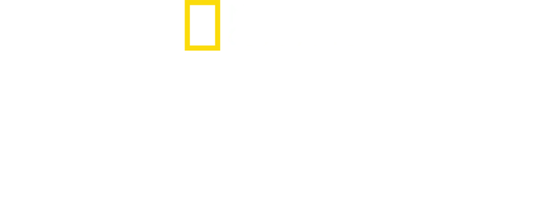Amsterdam: Gara Centrală