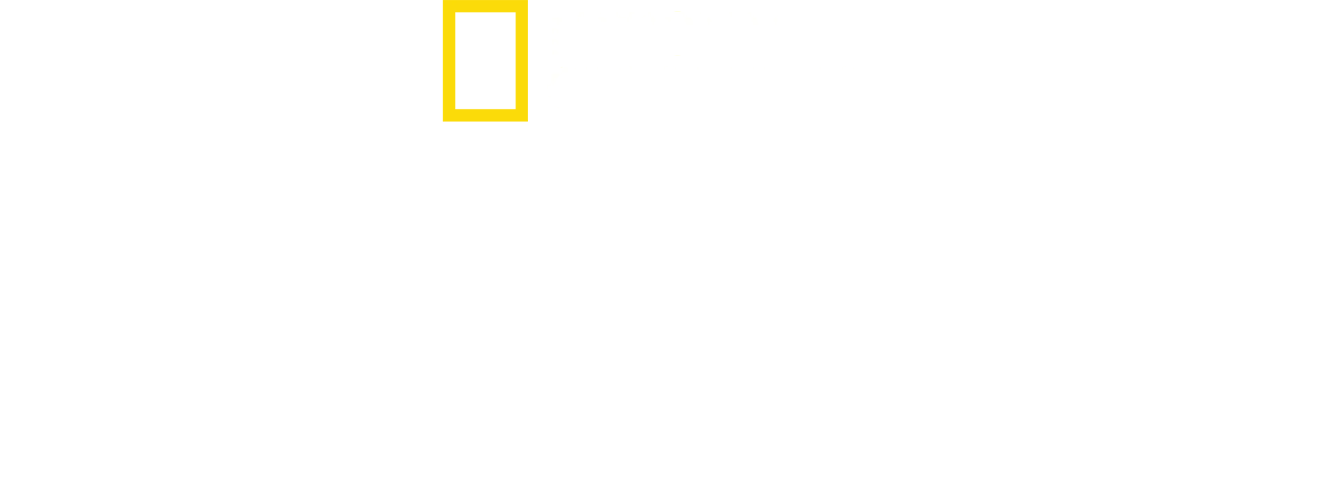 Amsterdam: Gara Centrală