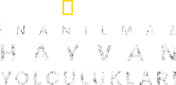 İnanılmaz Hayvan Yolculukları