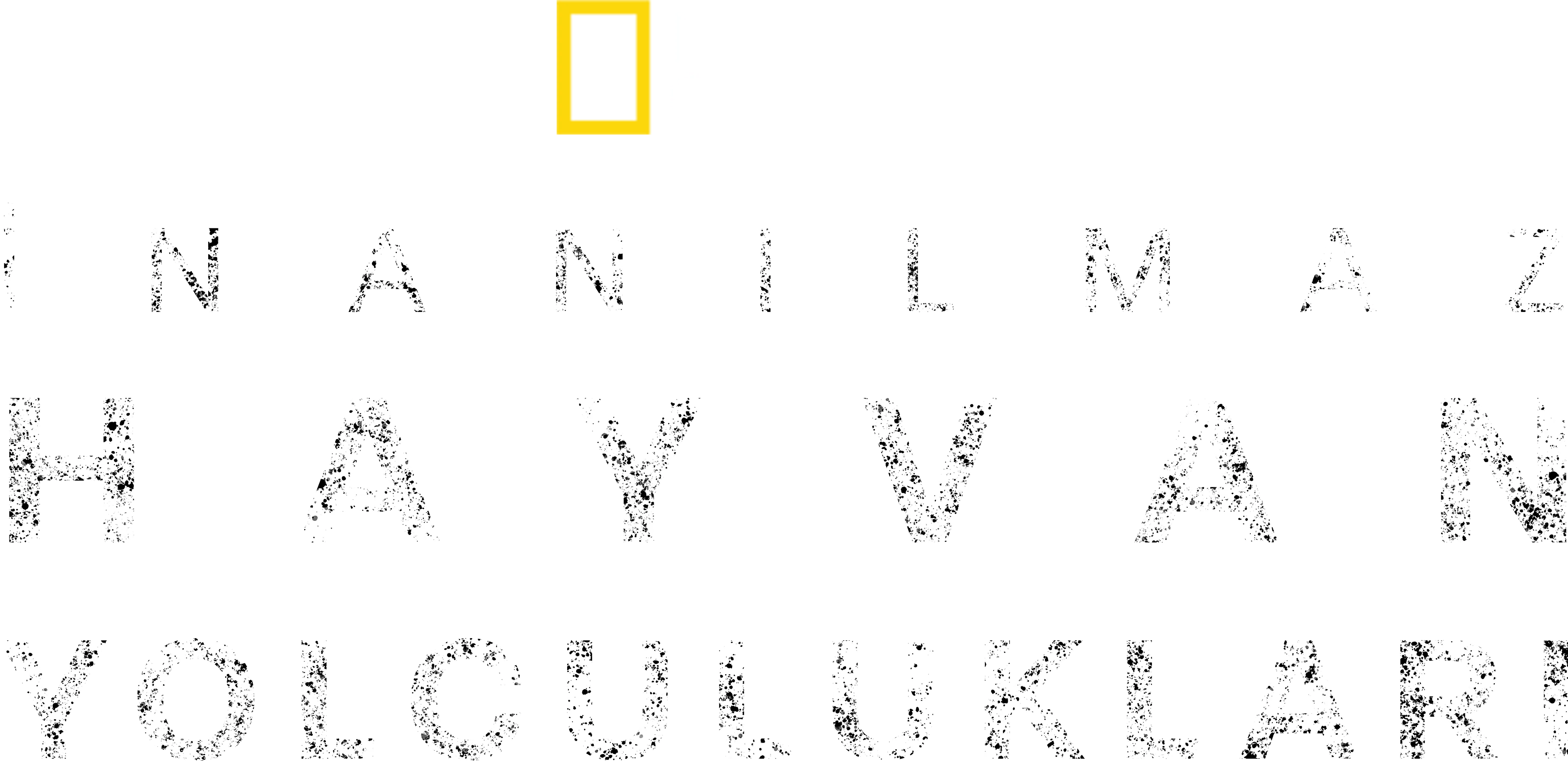 İnanılmaz Hayvan Yolculukları