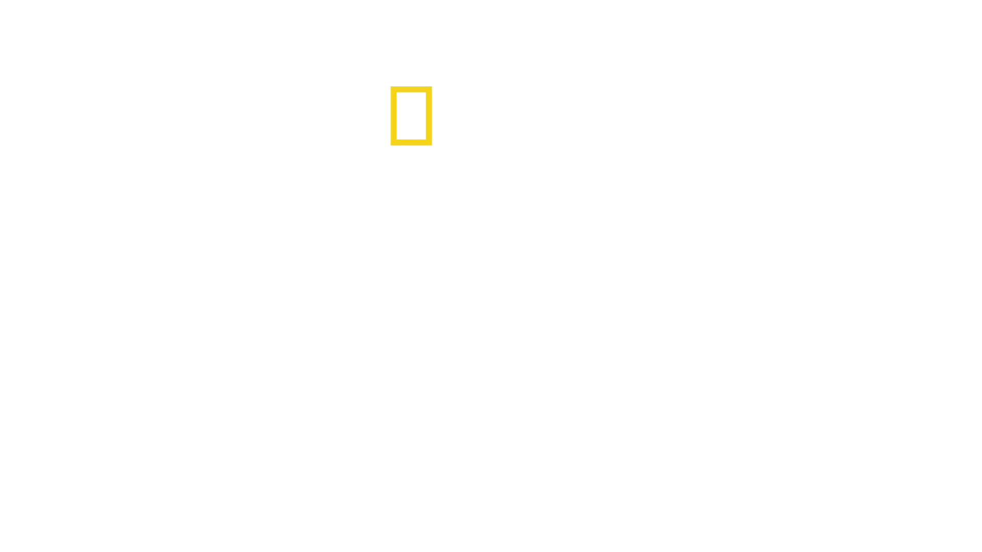 Los secretos de los elefantes