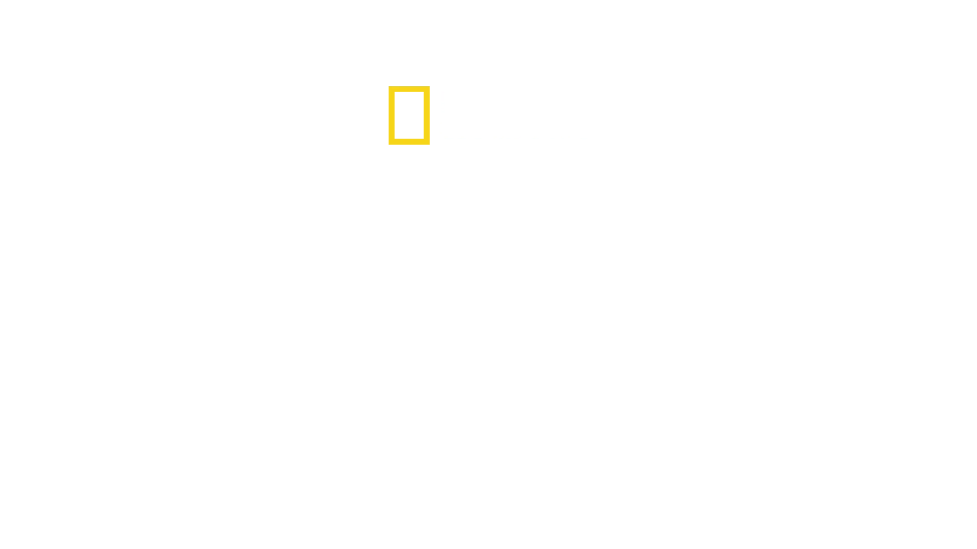 Los secretos de los elefantes