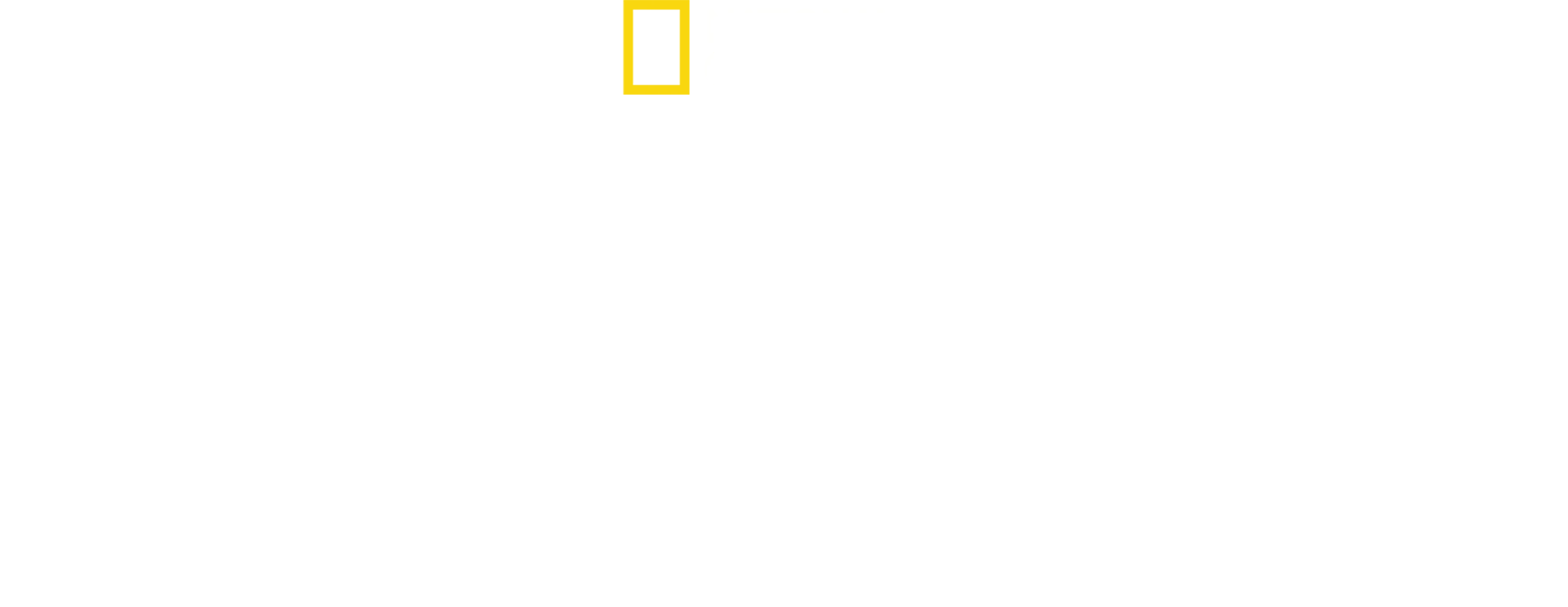 Los secretos de los elefantes