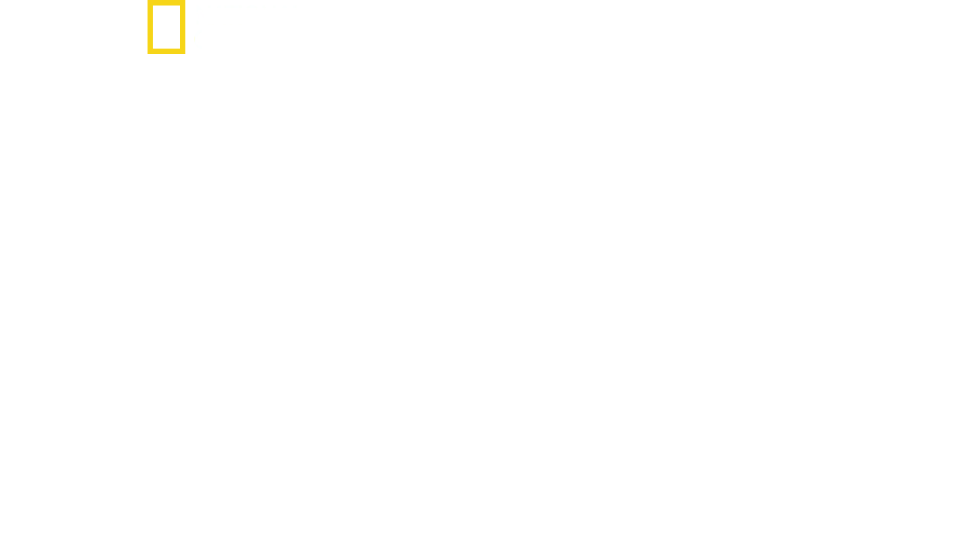 SS inifrån: Vägen till makten