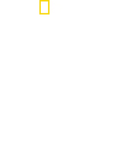 SS inifrån: Vägen till makten