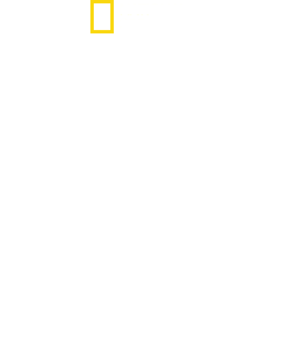 SS inifrån: Vägen till makten