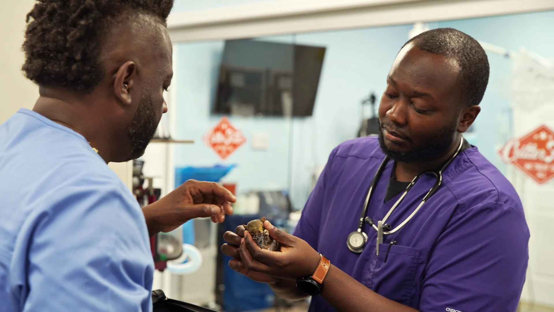 thumbnail - S6:E8 Vets Helping Vets