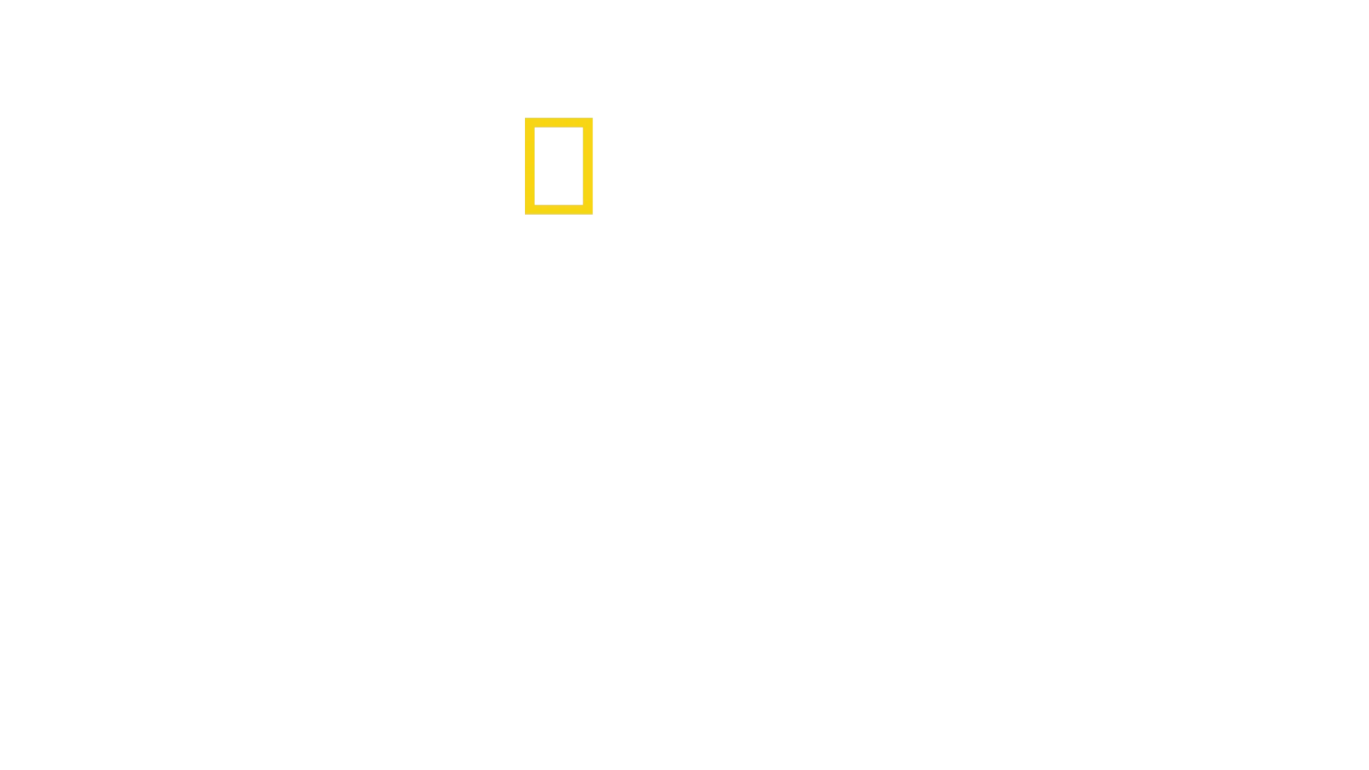 Cosa ti dice il cervello?