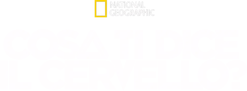 Cosa ti dice il cervello?