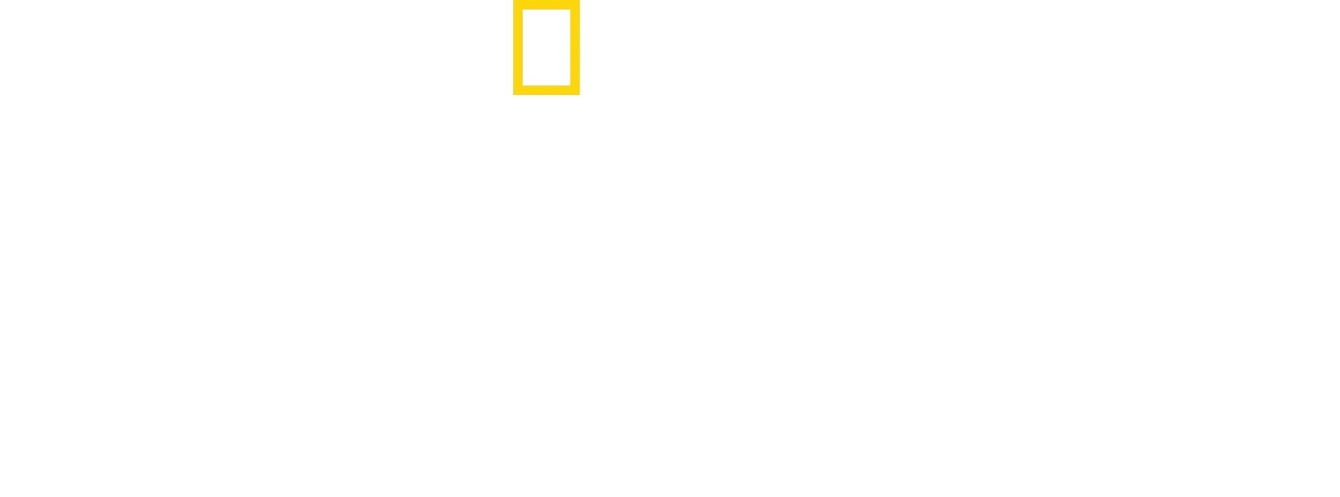 Cosa ti dice il cervello?
