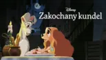 thumbnail - Zakochany kundel