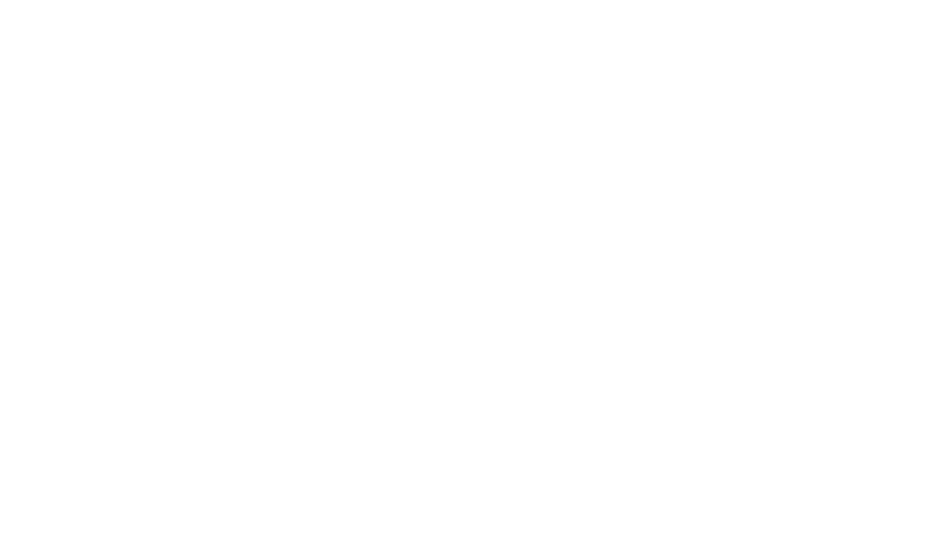 Spion i aksjon