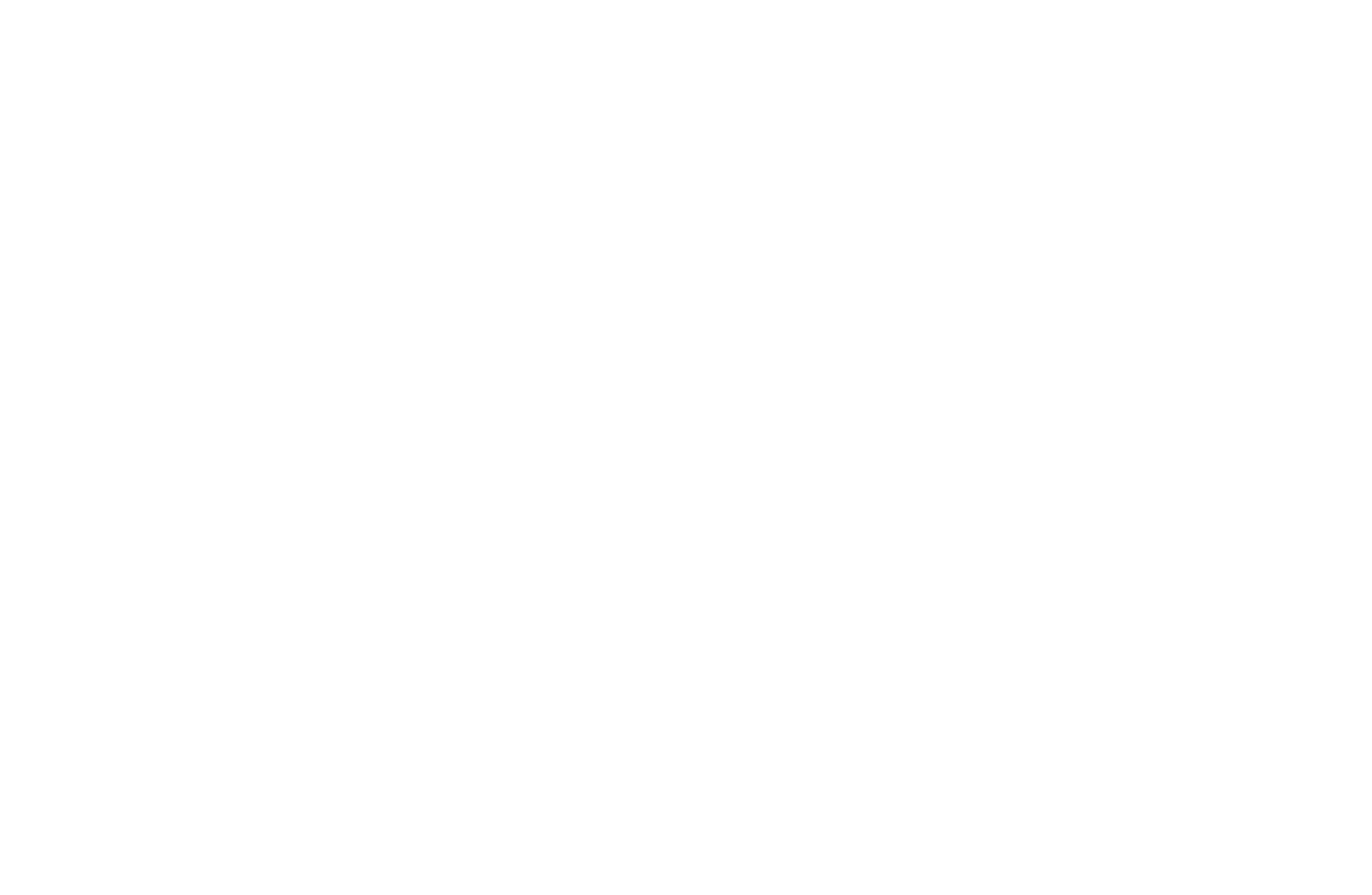 Spion i aksjon