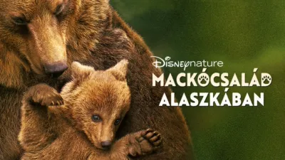 Mackócsalád Alaszkában