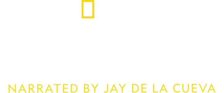 Latin America from Above