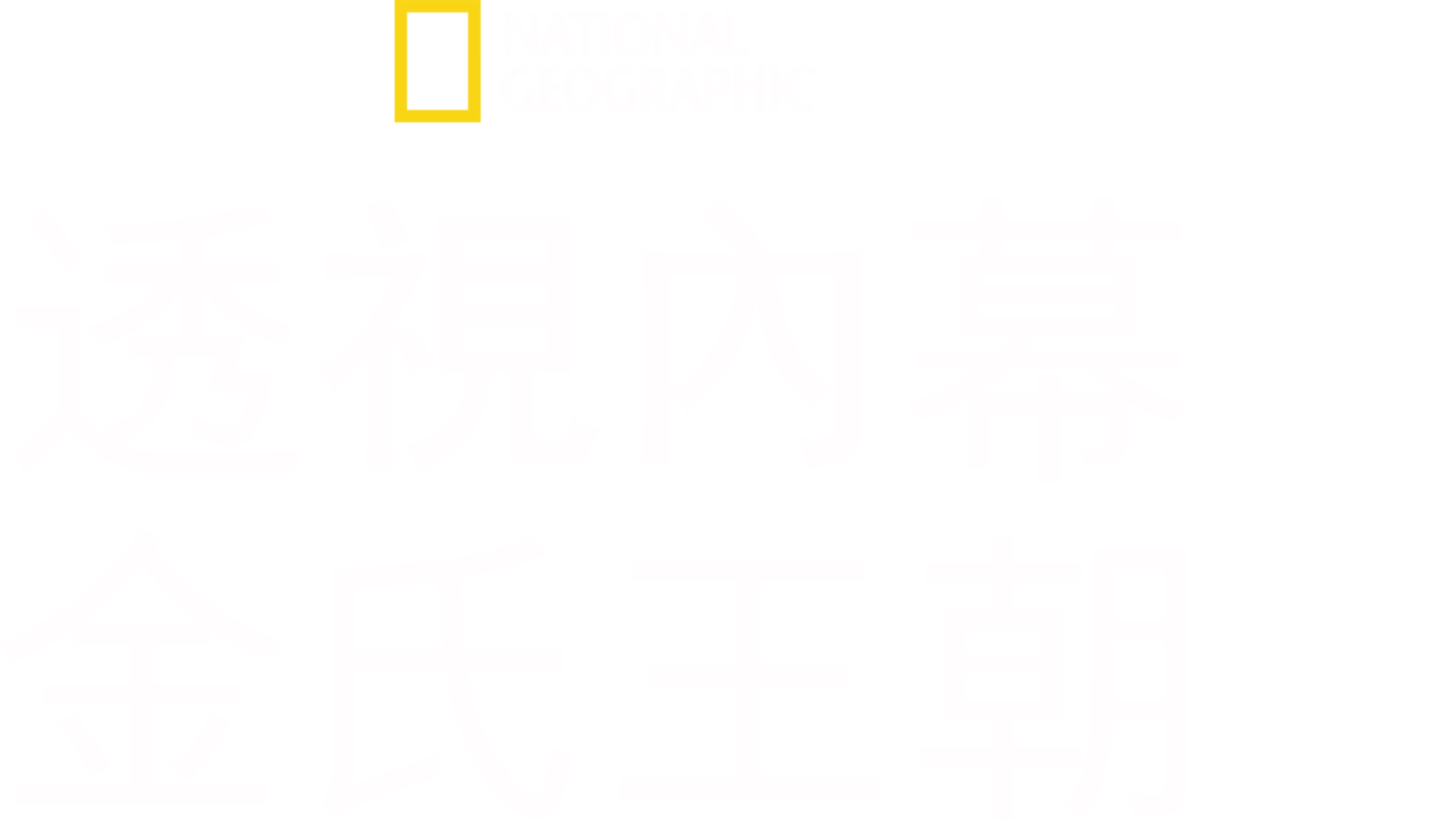 透視內幕：金氏王朝
