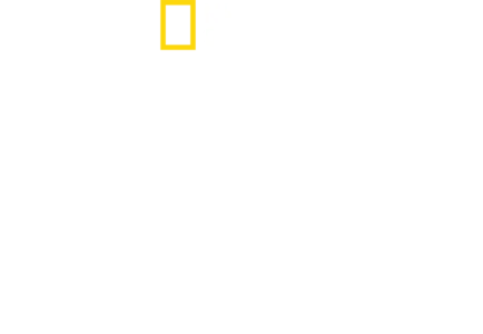 透視內幕：金氏王朝