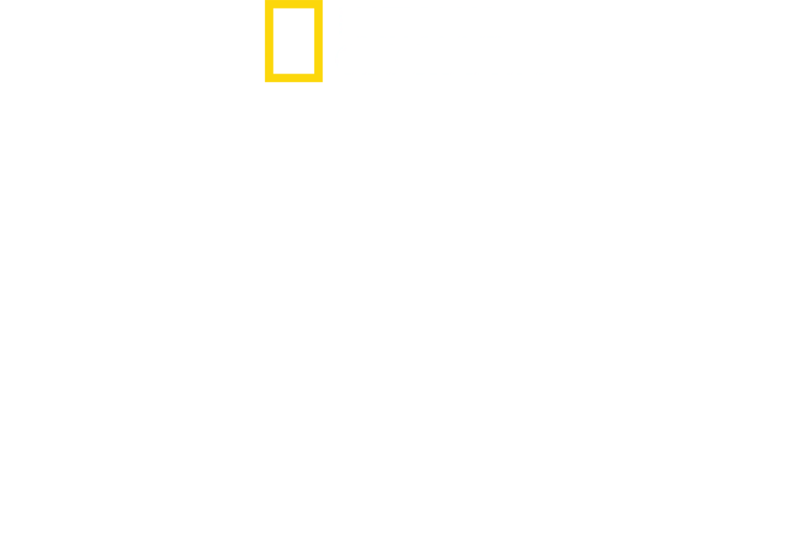 透視內幕：金氏王朝