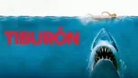 thumbnail - Tiburón