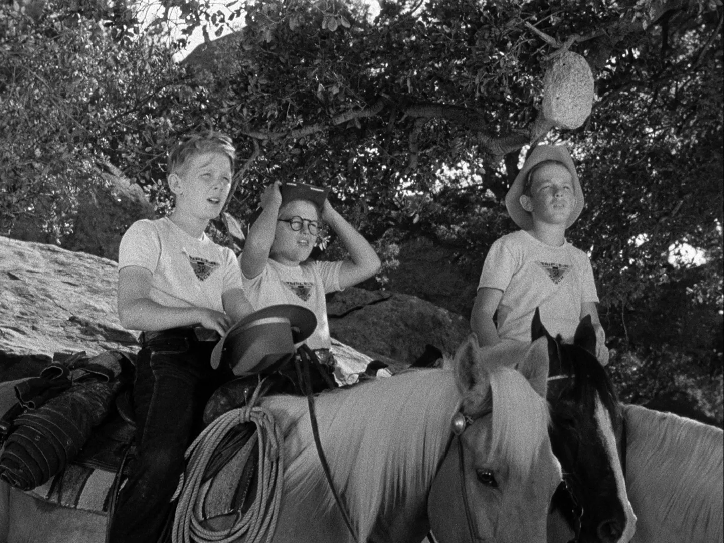 thumbnail - S1:E19 Runaway!