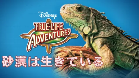 thumbnail - 砂漠は生きている