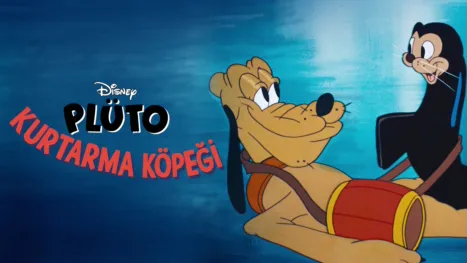 thumbnail - Kurtarma Köpeği