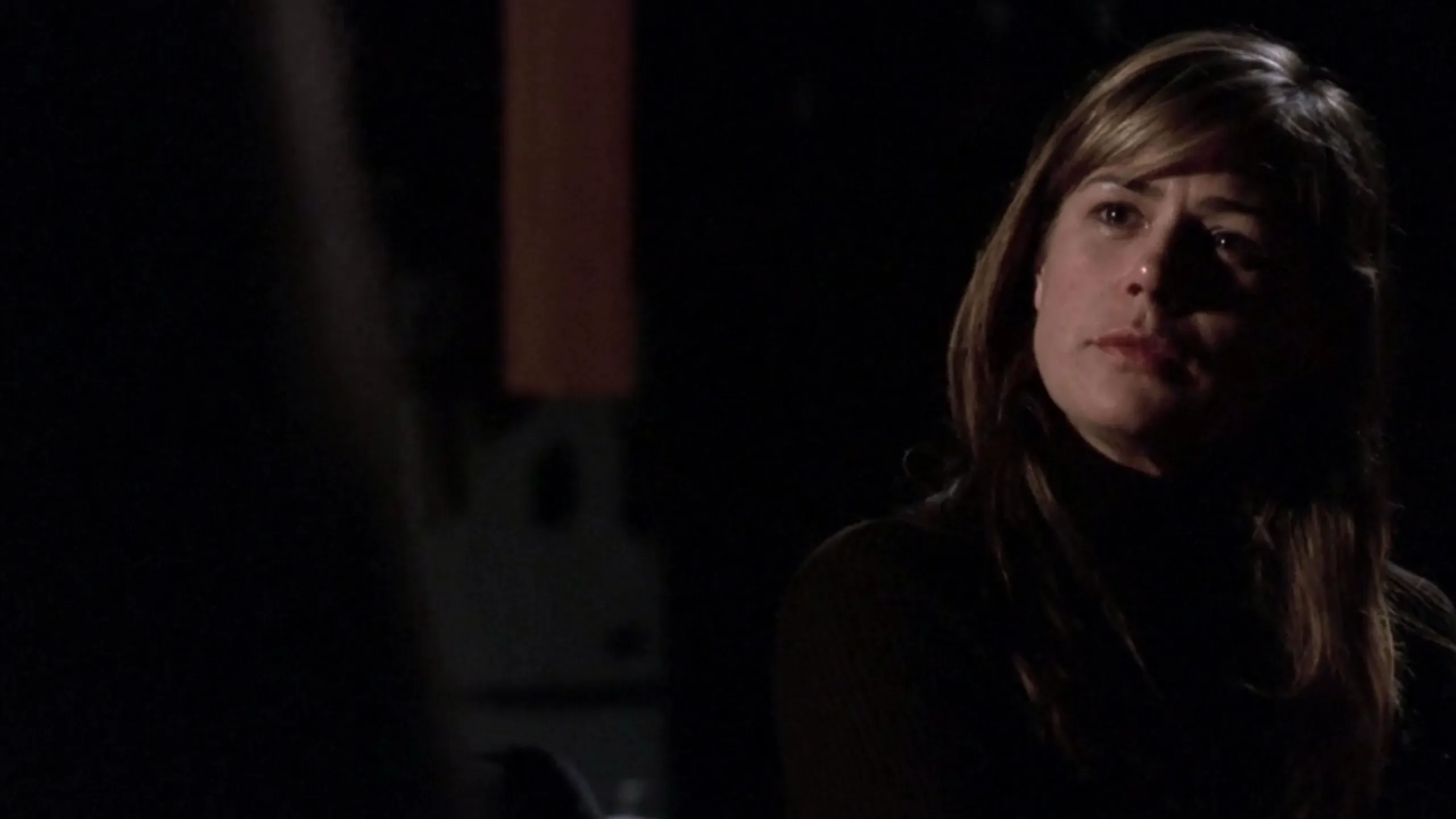 thumbnail - S13:E14 Murmurs of the Heart