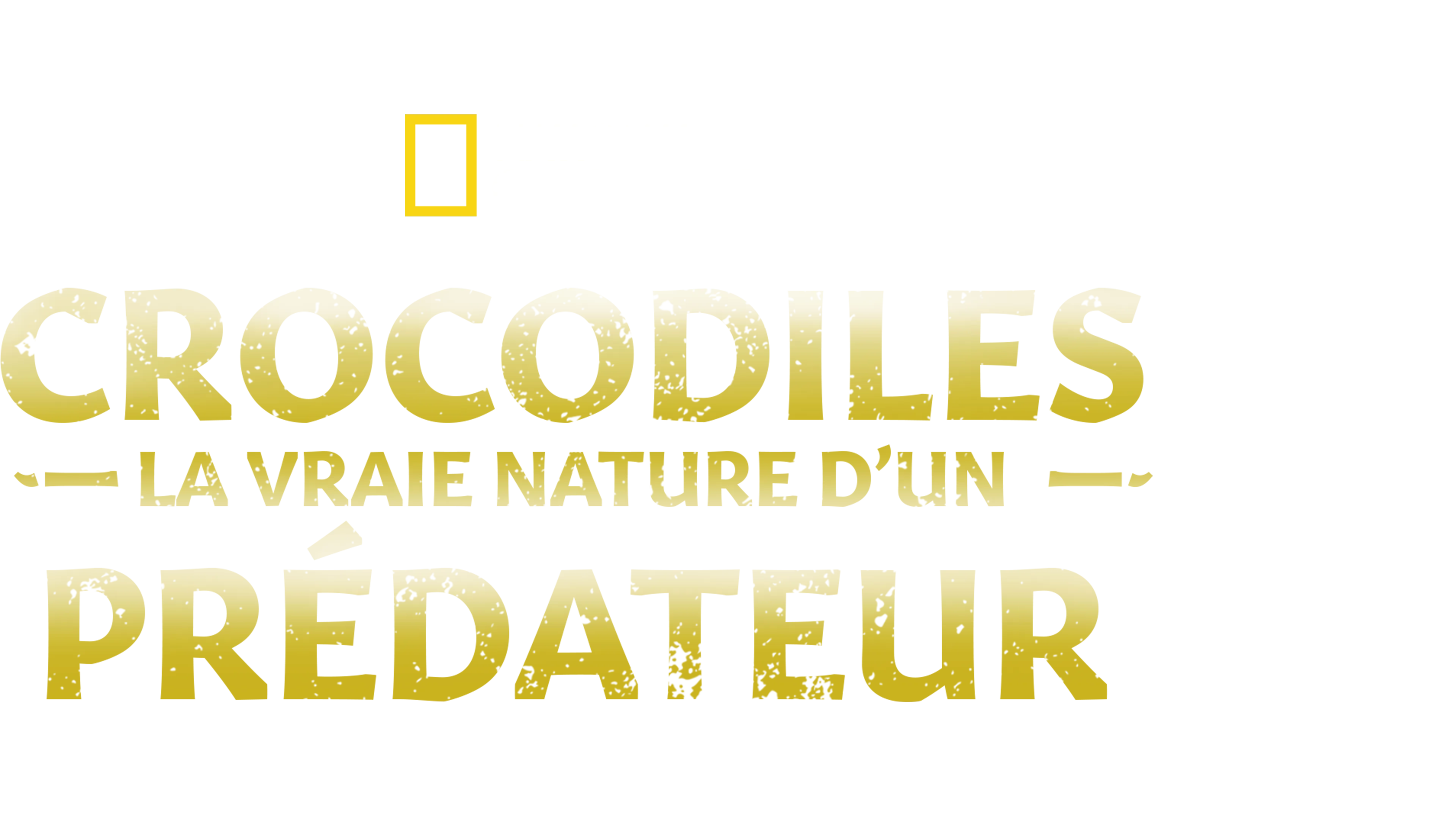 Crocodiles : la vraie nature d’un prédateur