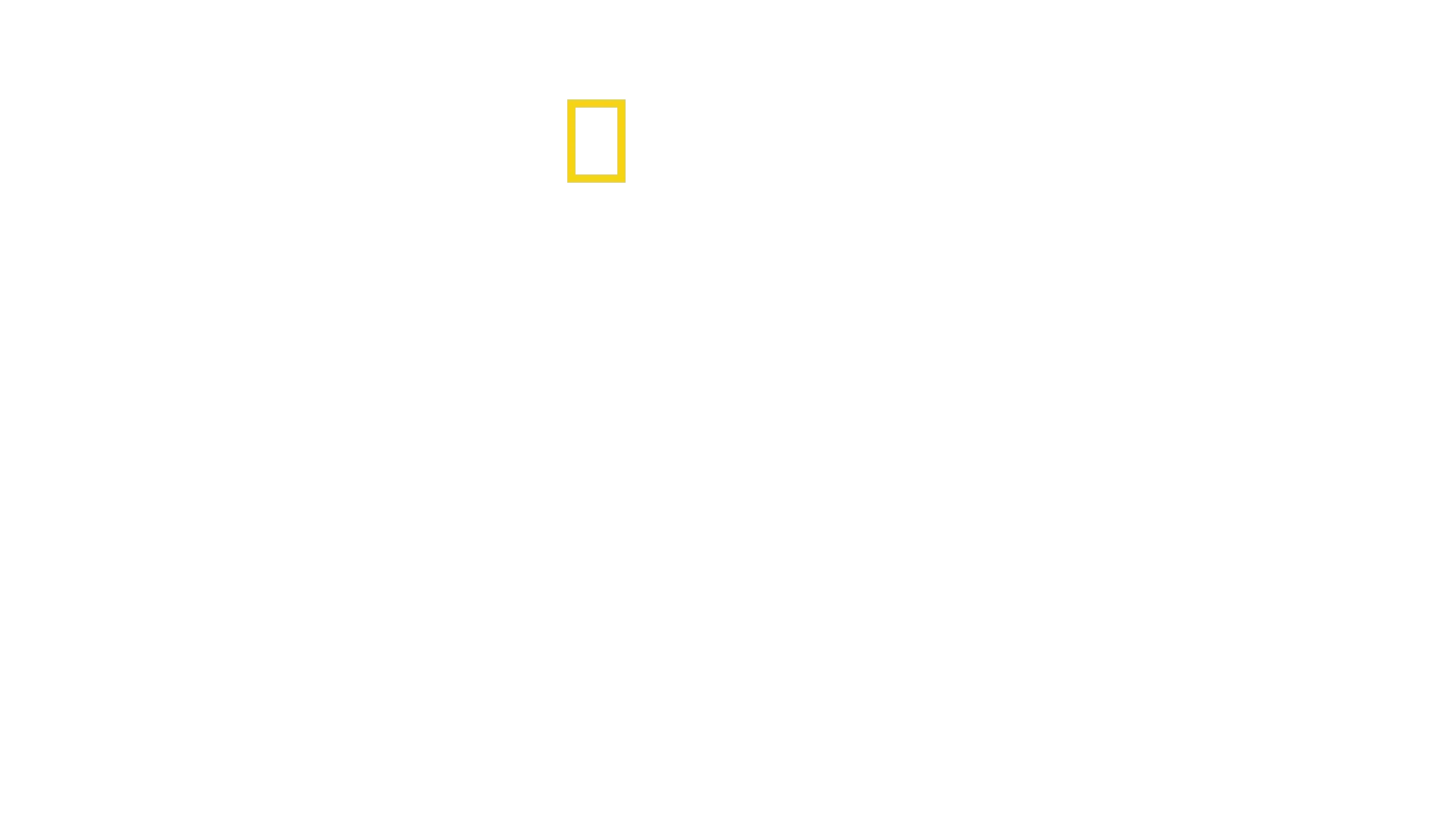 Dr. Ks tierische Notaufnahme