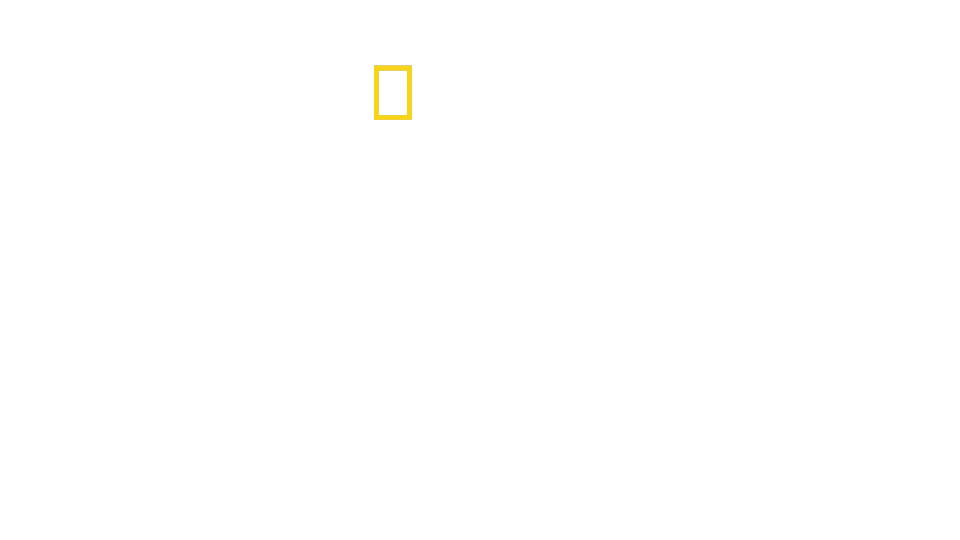 Dr. Ks tierische Notaufnahme
