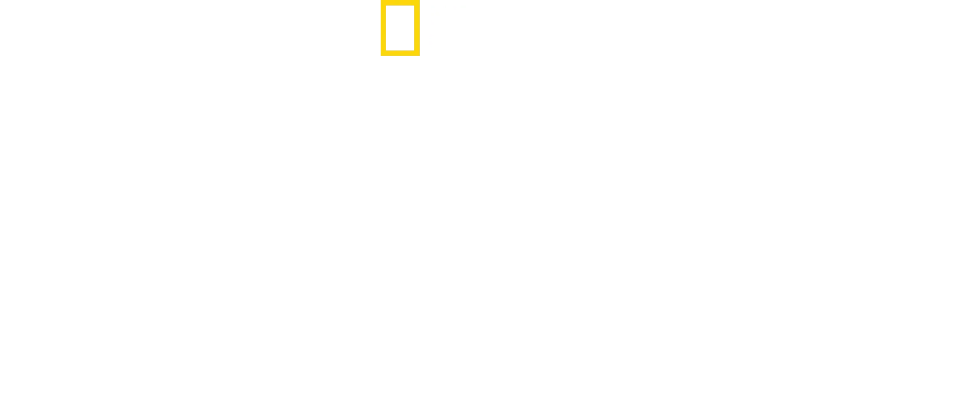 Dr. Ks tierische Notaufnahme