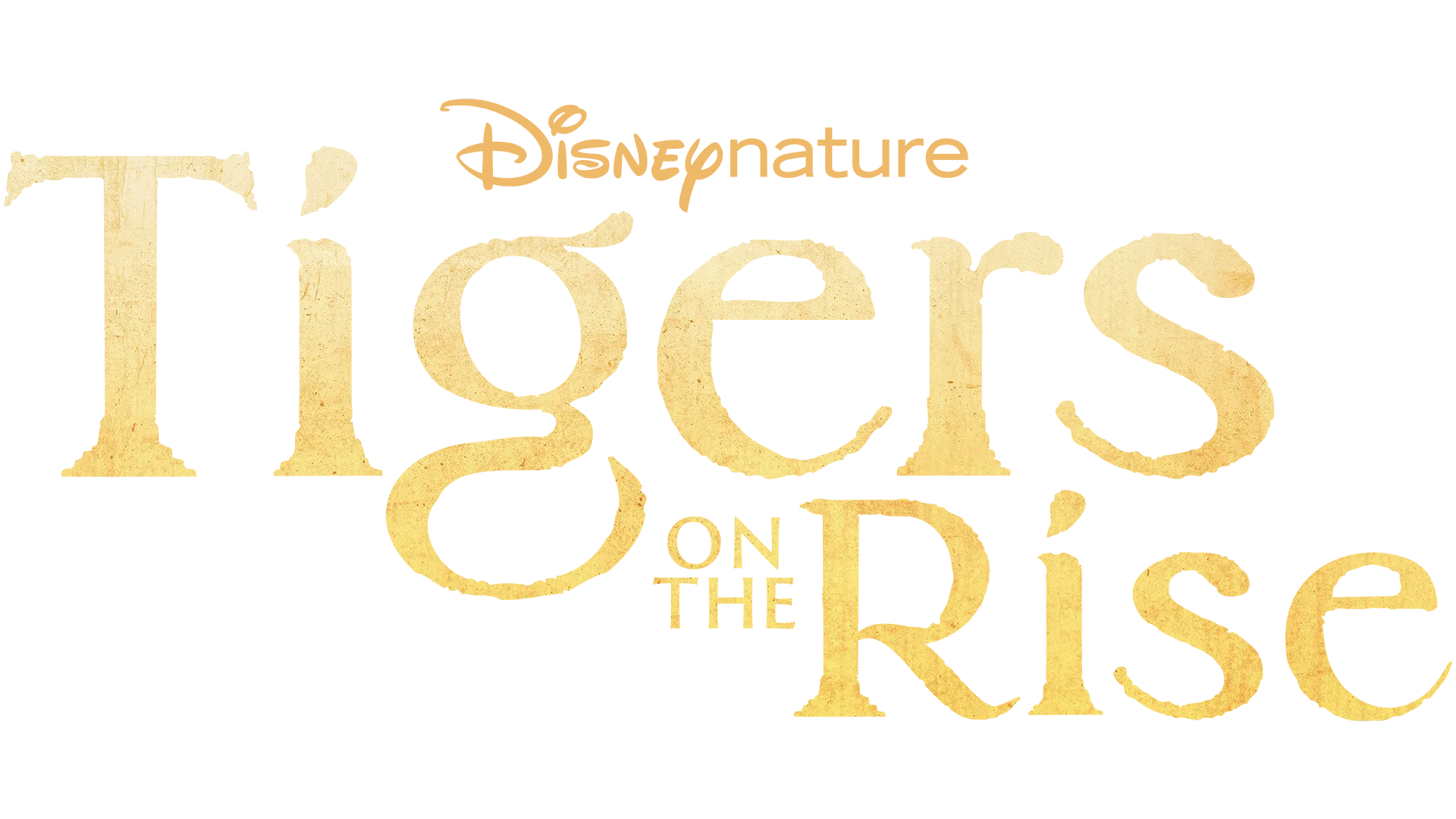 Tigers on the Rise