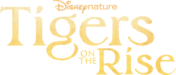 Tigers on the Rise