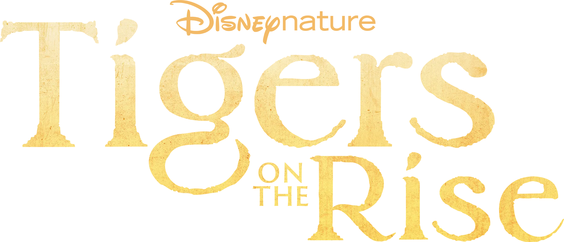 Tigers on the Rise