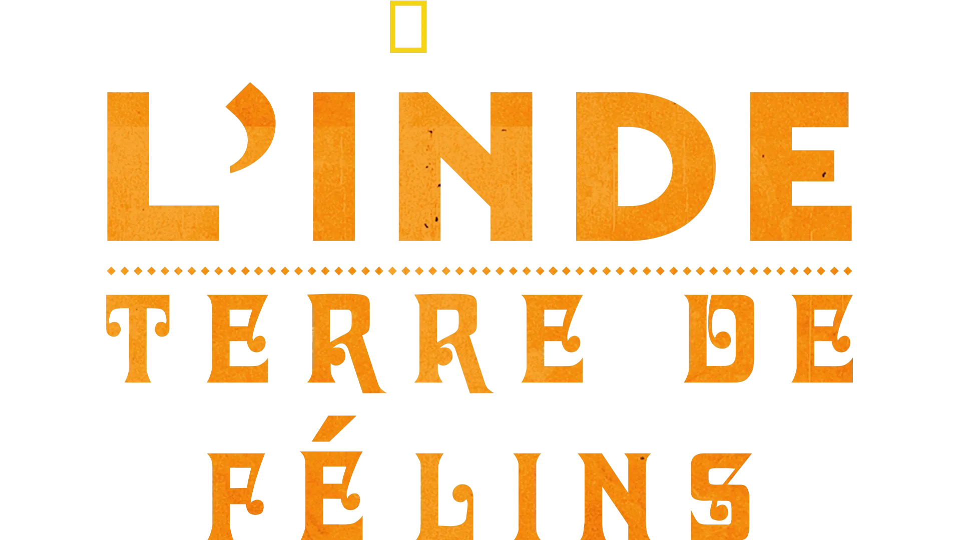 L'Inde : Terre de félins
