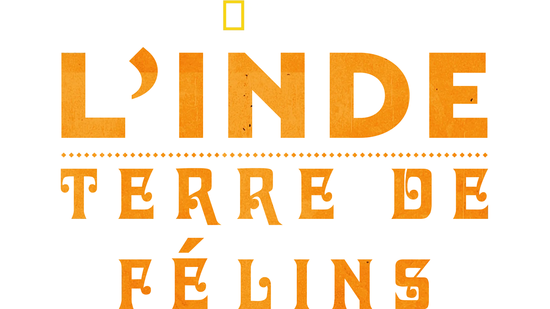 L'Inde : Terre de félins