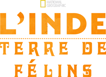 L'Inde : Terre de félins