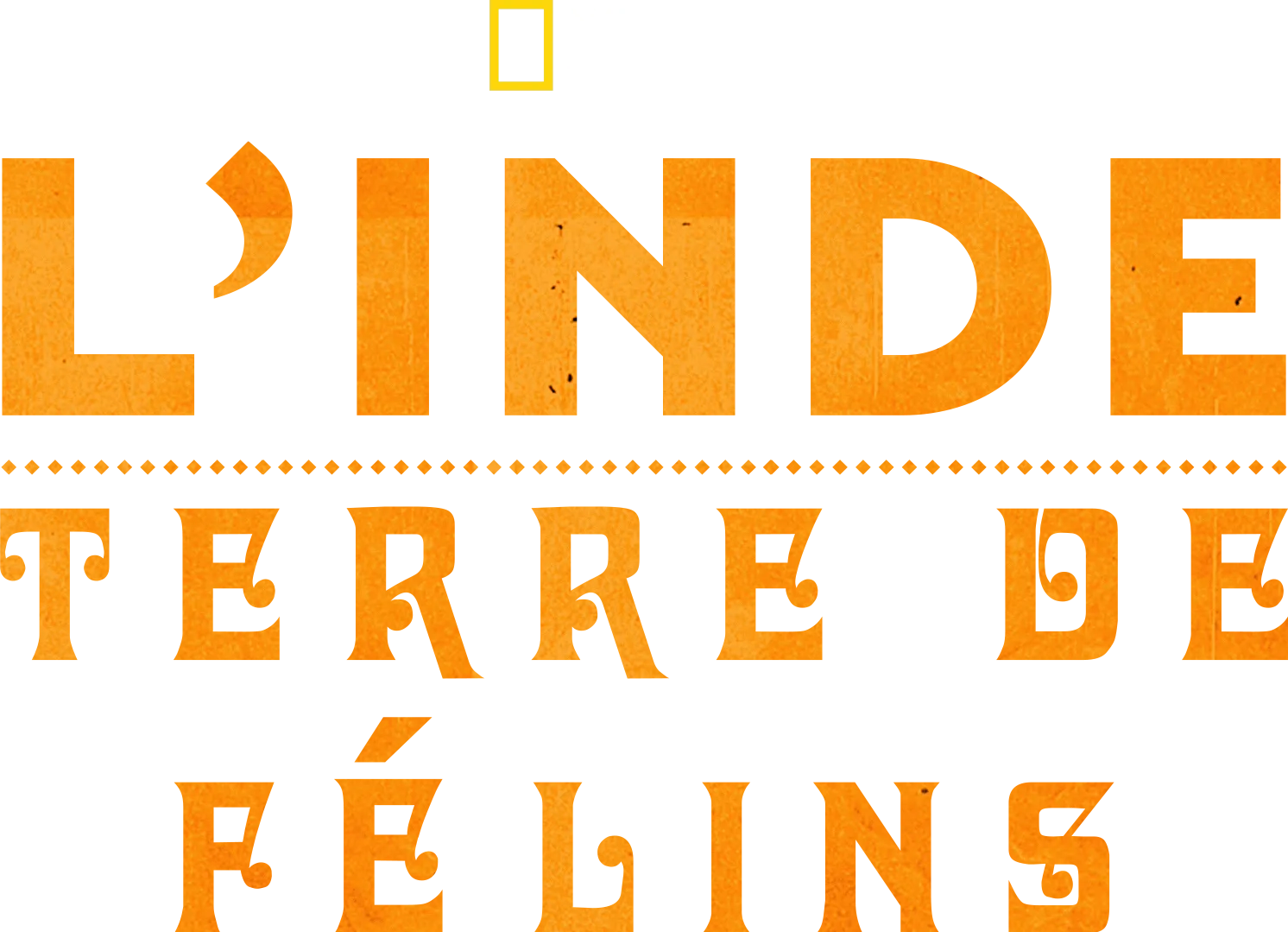 L'Inde : Terre de félins